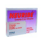 Neuribe-Complejo-B-Ampolla-2Ml-I.M.-Kit.-X-3-Vivax.jpg