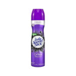 Lady Speed Stick Carbon Absorb Spray 91G_150Ml