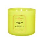 White Barn Vela Aromatica Eucalyptus Mint 411G