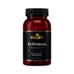 Echinacea 500mg x 60Cap Walife