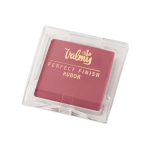 Valmy Rubor Perfect Finish Tono 17 Pastel Peach 9gr (4)